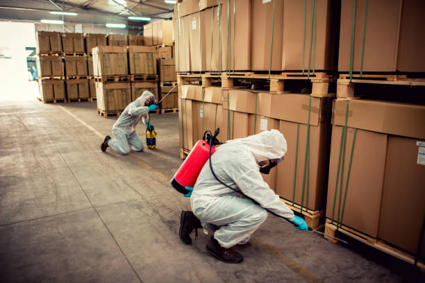 Best Affordable Pest Control Services  in Lewiston, ME