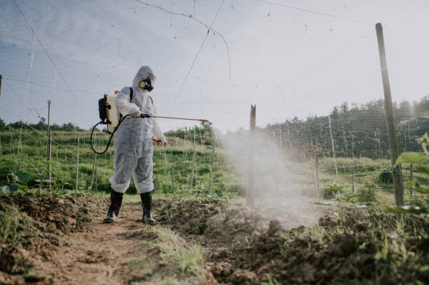 Pest Control Cost in Lewiston, ME
