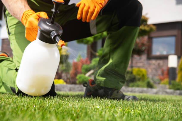 Best Pest Removal Services  in Lewiston, ME