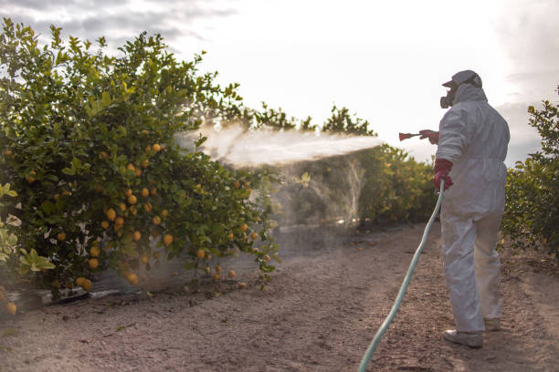 Best Pest Control for Businesses  in Lewiston, ME