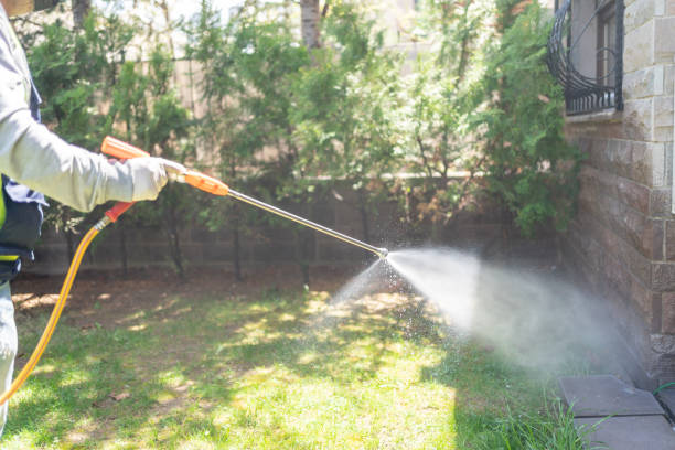 Best Best Pest Control Companies  in Lewiston, ME