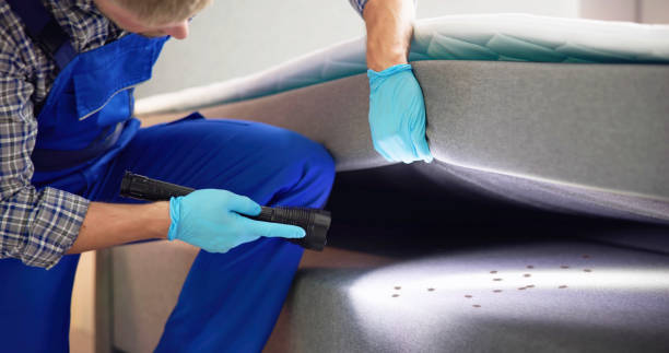 Best Termite Control Services  in Lewiston, ME