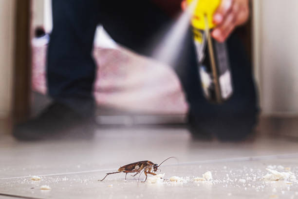 Best Rodent Control Near Me  in Lewiston, ME