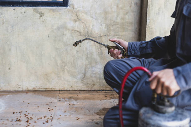 Best Local Pest Control Services  in Lewiston, ME
